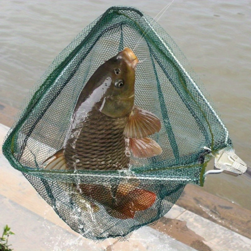 Foldable Triangle Fishing Land - Landing Net Telescopic recension och pris