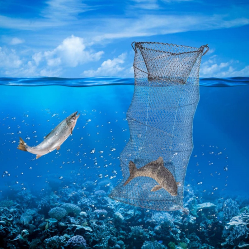 Telescopic Foldable Crayfish C - Landing Net Telescopic recension och pris